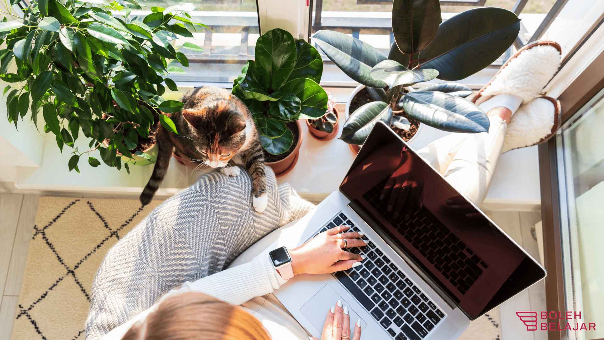 tips jadi freelancer content writer banjir orderan